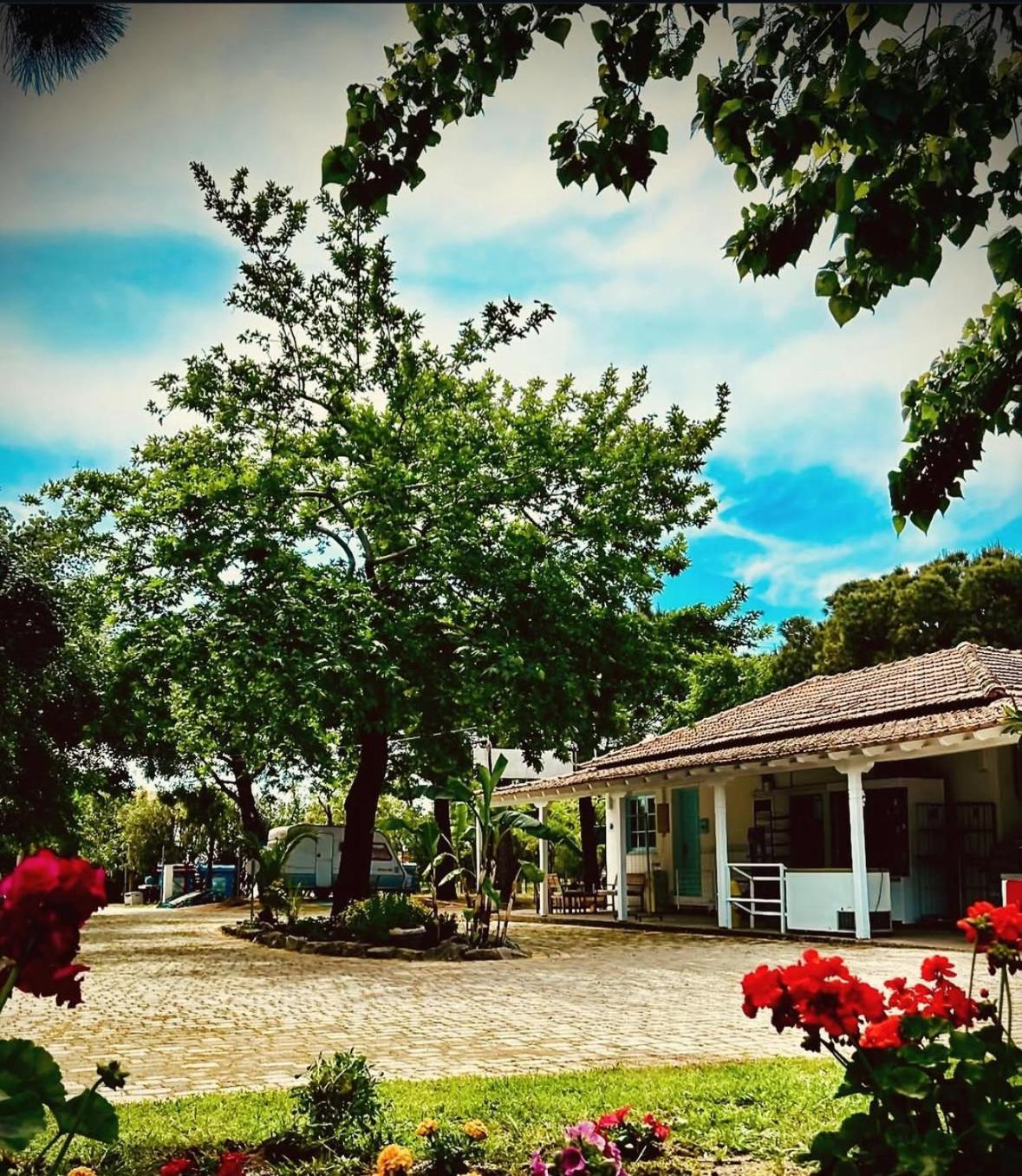 Camping Pitsoni Sykia Chalkidikis Exterior photo