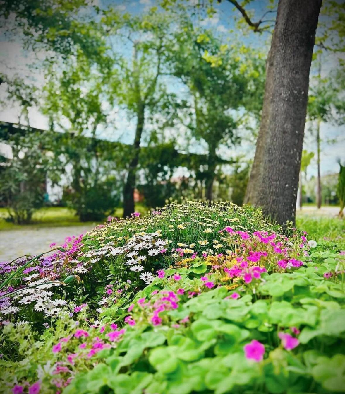 Camping Pitsoni Sykia Chalkidikis Exterior photo