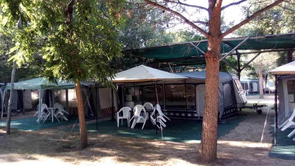 Camping Pitsoni Sykia Chalkidikis Exterior photo